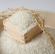 画像2: 新米【７年産】コシヒカリ　白米５kg (2)