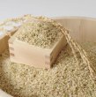 画像3: 新米【７年産】みずかがみ　玄米５kg　 (3)