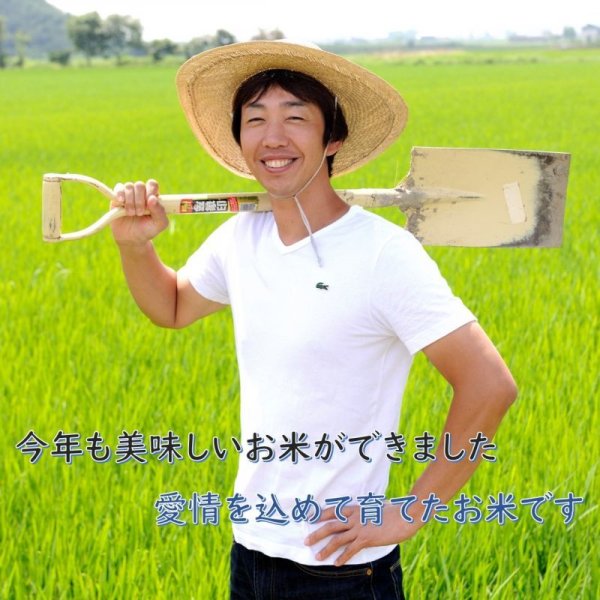 画像7: 新米【７年産】コシヒカリ　白米５kg (7)