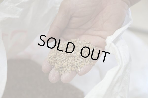 画像3: IKARIFARM小麦使用！国産金柑を使用した女性にも飲みやすいクラフトビール「金柑ウィット」　6本入　※常温商品とは一緒にご購入いただけません。 (3)