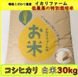 画像2: 新米【７年産】コシヒカリ　白米３０kg (2)