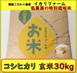 画像2: 新米【７年産】コシヒカリ　玄米３０kg (2)