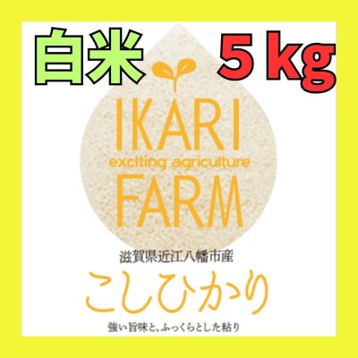 新米【７年産】コシヒカリ　白米５kg