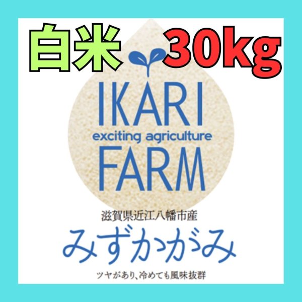 画像1: 新米【７年産】みずかがみ　白米３０kg　　 (1)