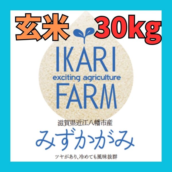 画像1: 新米【７年産】みずかがみ　玄米３０kg　 (1)