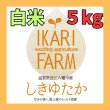 画像1: 新米【７年産】しきゆたか　白米5kg (1)