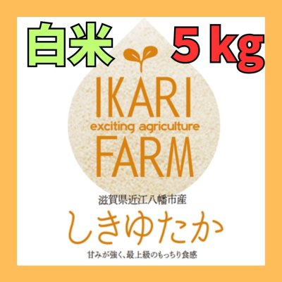 新米【７年産】しきゆたか　白米5kg