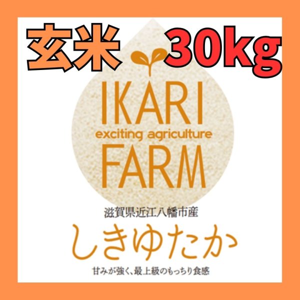 画像1: 新米【７年産】しきゆたか　玄米３０kg (1)