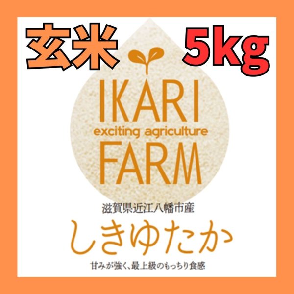 画像1: 新米【７年産】しきゆたか　玄米5kg (1)