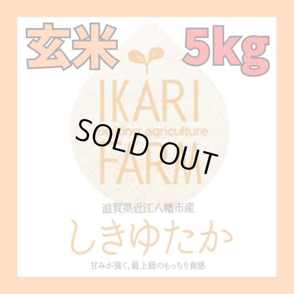 画像1: 新米【７年産】しきゆたか　玄米5kg (1)