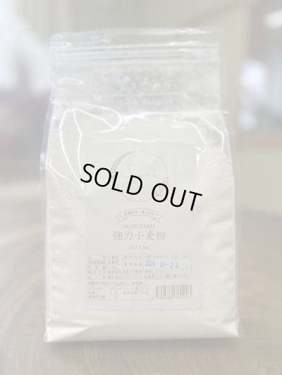 IKARIFARMのパン用小麦粉　1.5ｋｇ　100％近江八幡市産