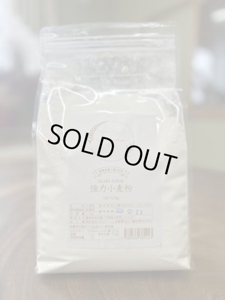 画像1: IKARIFARMのパン用小麦粉　1.5ｋｇ　100％近江八幡市産 (1)