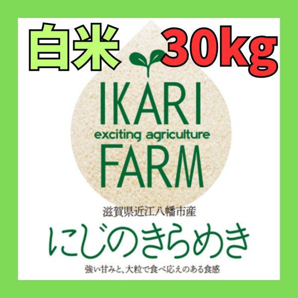 画像1: 新米【８年産】にじのきらめき　白米30kg (1)