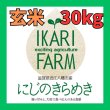 画像1: 新米【７年産】にじのきらめき　玄米３０kg (1)