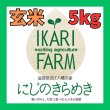 画像1: 新米【７年産】にじのきらめき　玄米５kg (1)