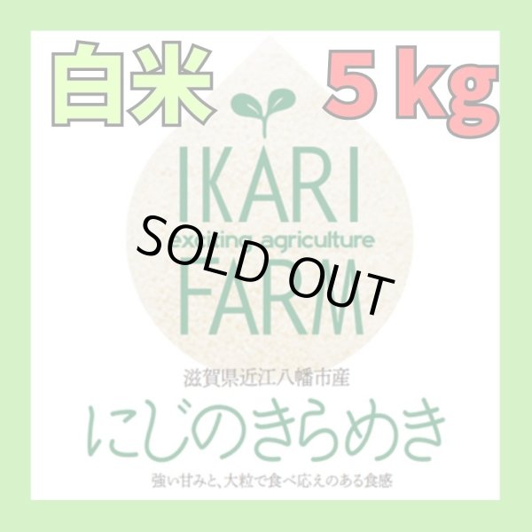 画像1: 新米【７年産】にじのきらめき　白米５kg (1)
