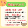 画像3: 8/29（土）　お米収穫＆精米体験　参加申込 (3)