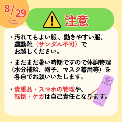 画像3: 8/29（土）　お米収穫＆精米体験　参加申込