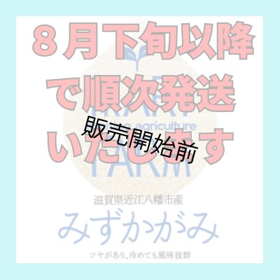 新米【８年産】みずかがみ　白米５kg　