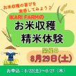画像1: 8/29（土）　お米収穫＆精米体験　参加申込 (1)