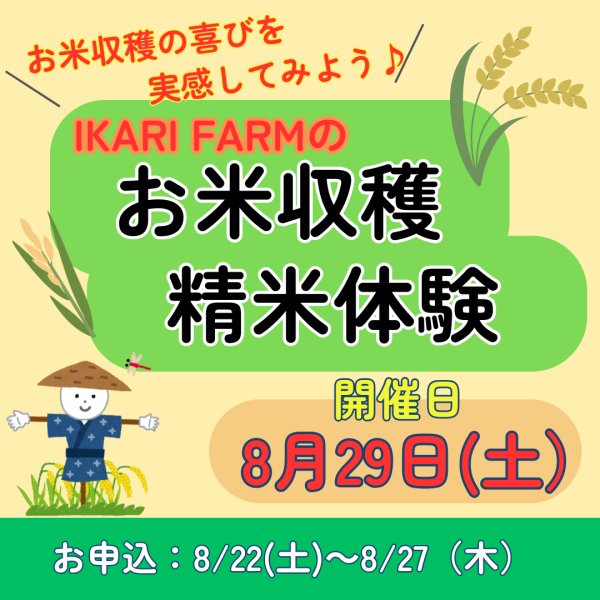 画像1: 8/29（土）　お米収穫＆精米体験　参加申込 (1)