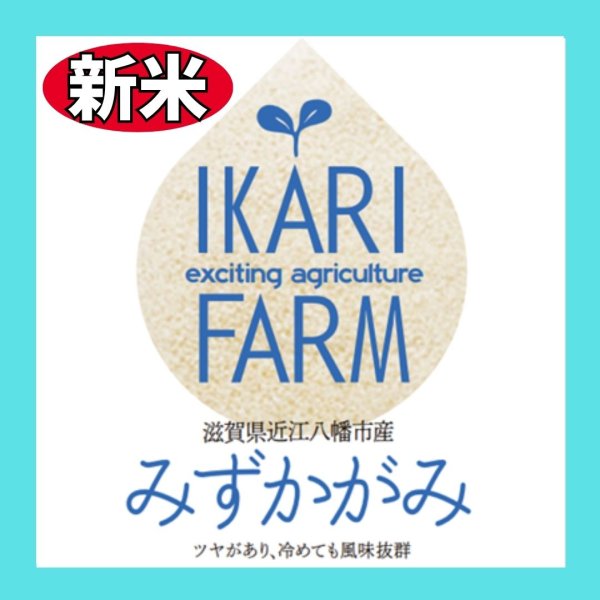 画像2: 新米【８年産】みずかがみ　玄米５kg　 (2)