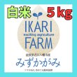 画像1: 新米【８年産】みずかがみ　白米５kg　 (1)