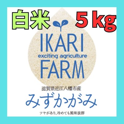 新米【８年産】みずかがみ　白米５kg　