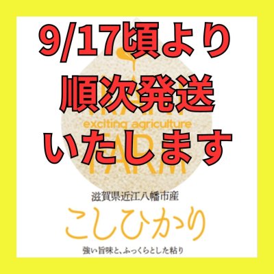 新米【８年産】コシヒカリ　白米５kg