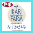 画像2: 新米【８年産】みずかがみ　白米３０kg　　 (2)