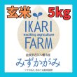 画像1: 新米【８年産】みずかがみ　玄米５kg　 (1)