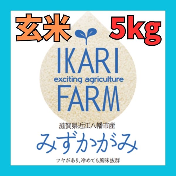 画像1: 新米【８年産】みずかがみ　玄米５kg　 (1)