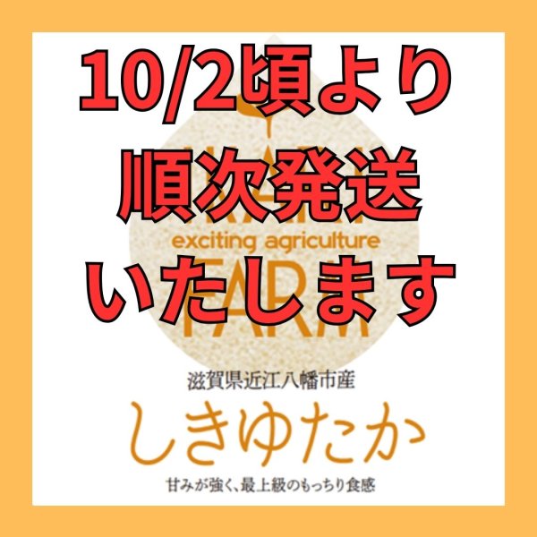 画像1: 新米【8年産】しきゆたか　白米5kg (1)