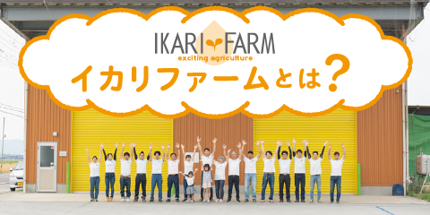 イカリファーム