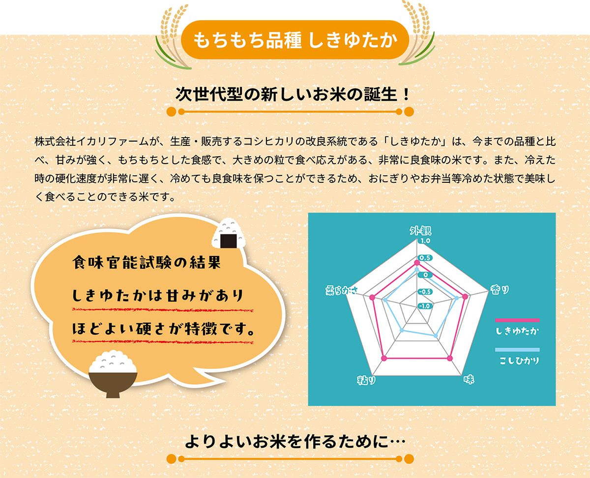 次世代型の新しいお米の誕生